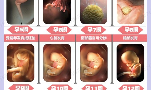 药痹通胶囊国药准字是多少网腰痹通胶囊对腰间盘突出有用吗知识网站,分享腰痹通胶囊治疗腰间盘突出怎么样大全